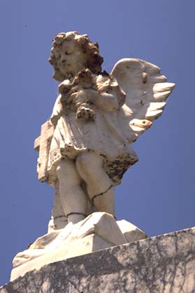 angel