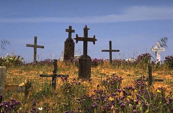 cailfornia graveyard