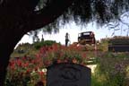 california graveyard